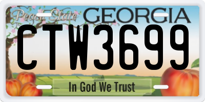 GA license plate CTW3699