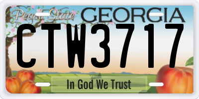 GA license plate CTW3717