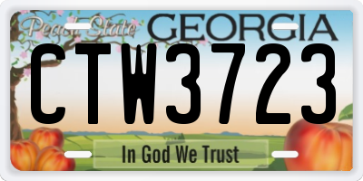 GA license plate CTW3723