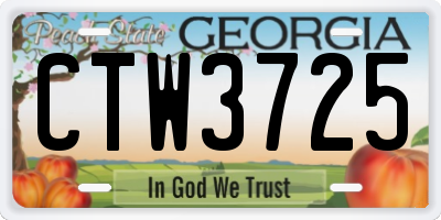 GA license plate CTW3725