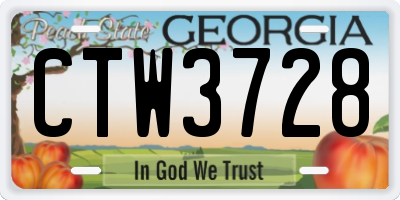 GA license plate CTW3728