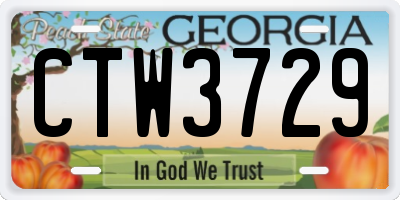 GA license plate CTW3729
