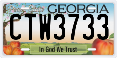 GA license plate CTW3733