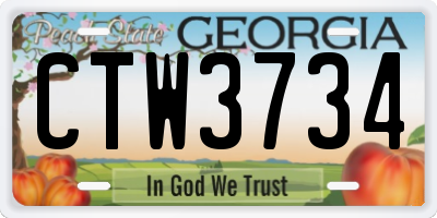 GA license plate CTW3734