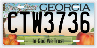 GA license plate CTW3736
