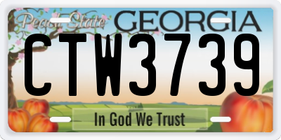 GA license plate CTW3739