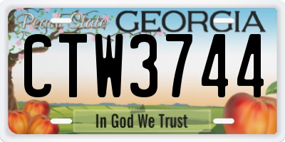 GA license plate CTW3744