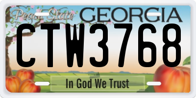 GA license plate CTW3768