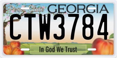 GA license plate CTW3784