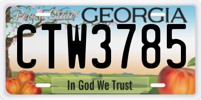 GA license plate CTW3785