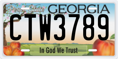 GA license plate CTW3789
