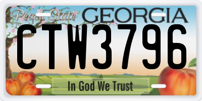 GA license plate CTW3796