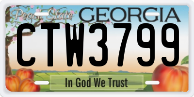 GA license plate CTW3799
