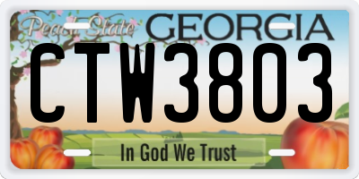 GA license plate CTW3803
