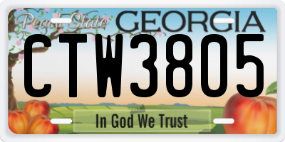 GA license plate CTW3805