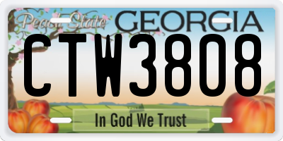 GA license plate CTW3808