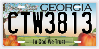 GA license plate CTW3813
