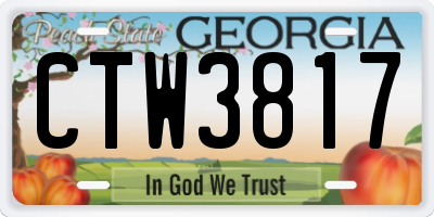 GA license plate CTW3817
