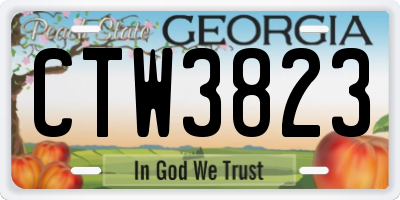 GA license plate CTW3823