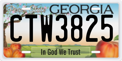 GA license plate CTW3825