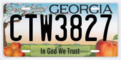 GA license plate CTW3827