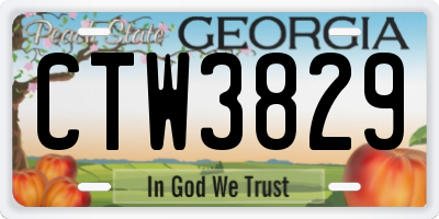 GA license plate CTW3829