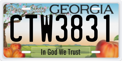 GA license plate CTW3831