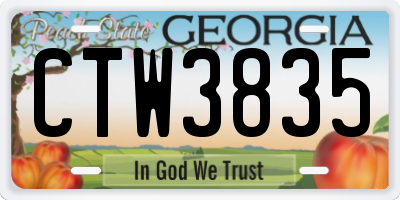 GA license plate CTW3835