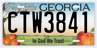 GA license plate CTW3841