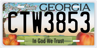 GA license plate CTW3853