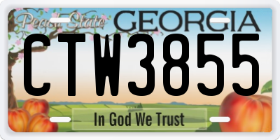 GA license plate CTW3855