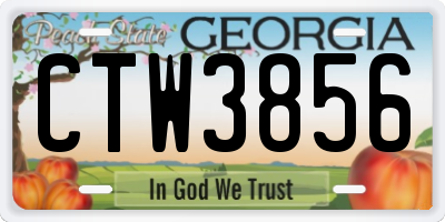GA license plate CTW3856