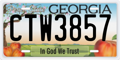 GA license plate CTW3857