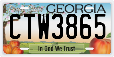 GA license plate CTW3865