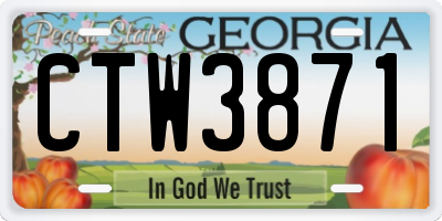 GA license plate CTW3871