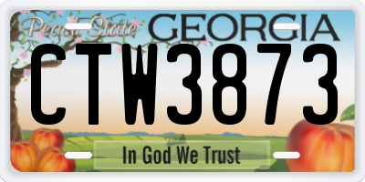 GA license plate CTW3873