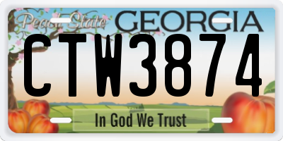 GA license plate CTW3874