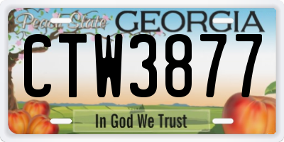 GA license plate CTW3877