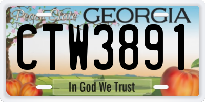 GA license plate CTW3891