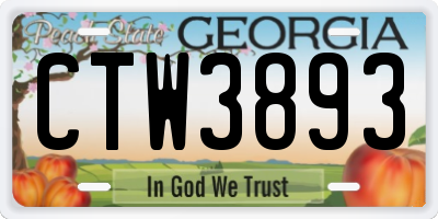 GA license plate CTW3893