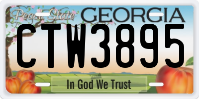 GA license plate CTW3895