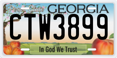 GA license plate CTW3899