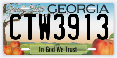 GA license plate CTW3913