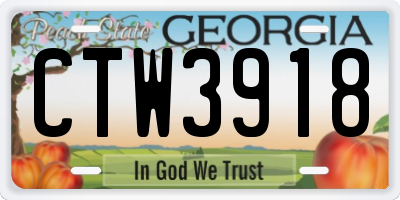 GA license plate CTW3918