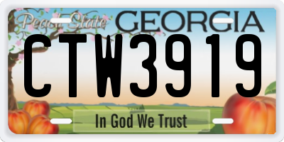 GA license plate CTW3919