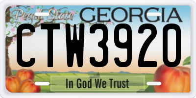 GA license plate CTW3920