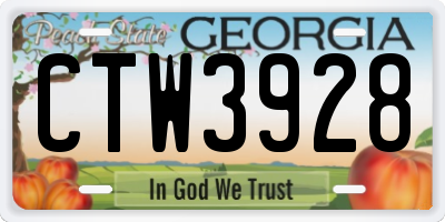GA license plate CTW3928