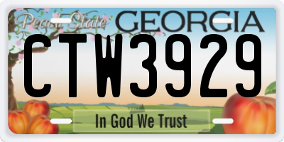 GA license plate CTW3929