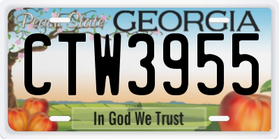 GA license plate CTW3955