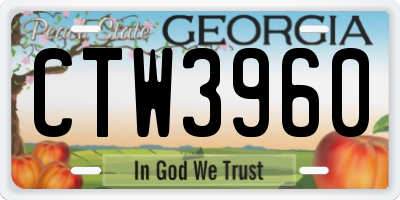 GA license plate CTW3960